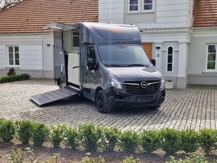 Opel Movano paardentransporter