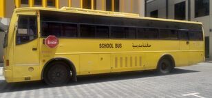 Ashok Leyland Falcon (school) / Intercity bus (LHD) touringcar