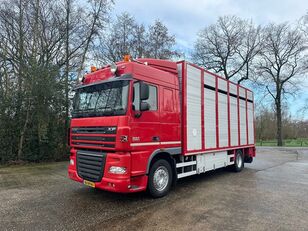 DAF XF 105.410 Veewagen veewagen vrachtwagen